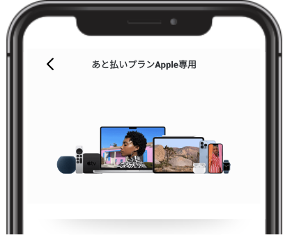 paidyapple_img
